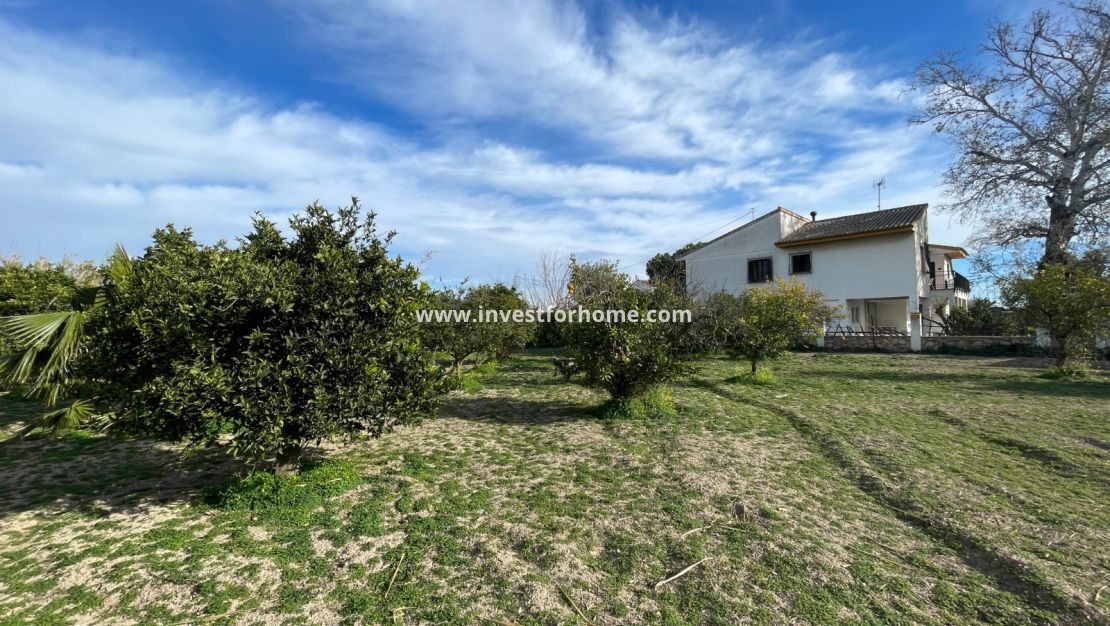 Sale - Villa - Benejuzar - Inland