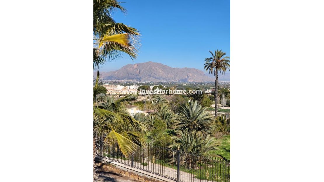 Sale - Villa - Bigastro - Inland