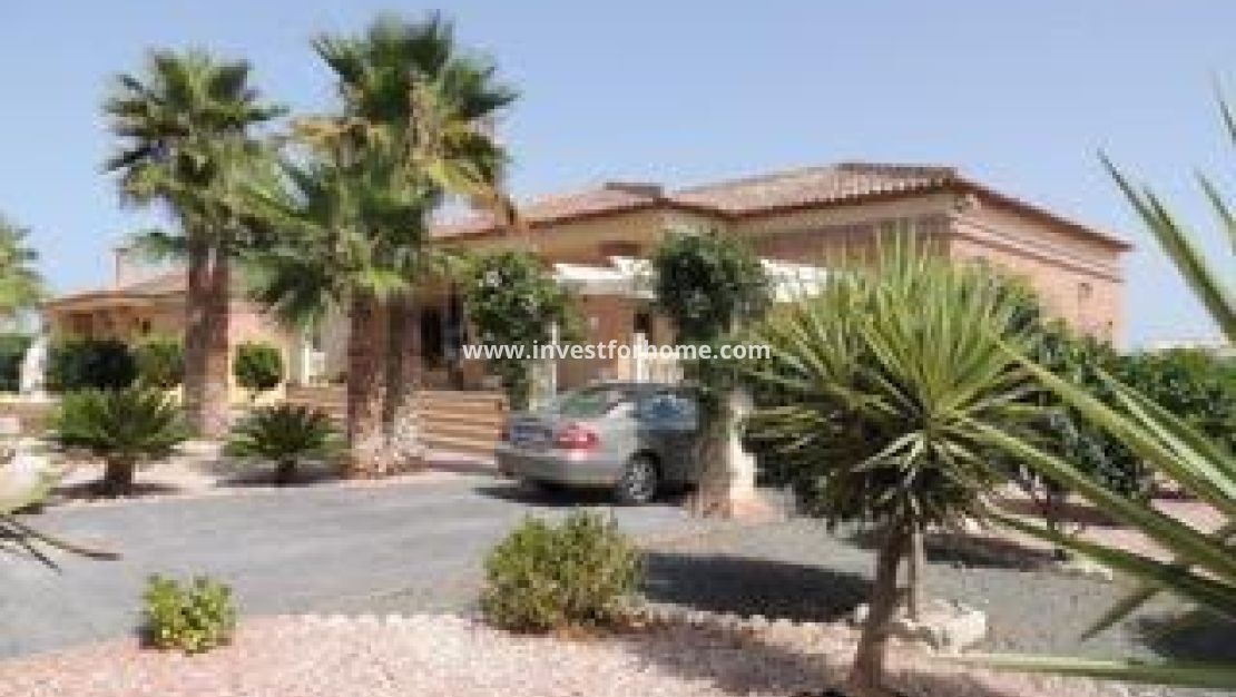 Sale - Villa - Catral