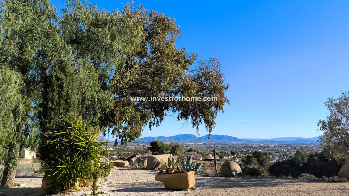 Sale - Villa - Fortuna - Inland