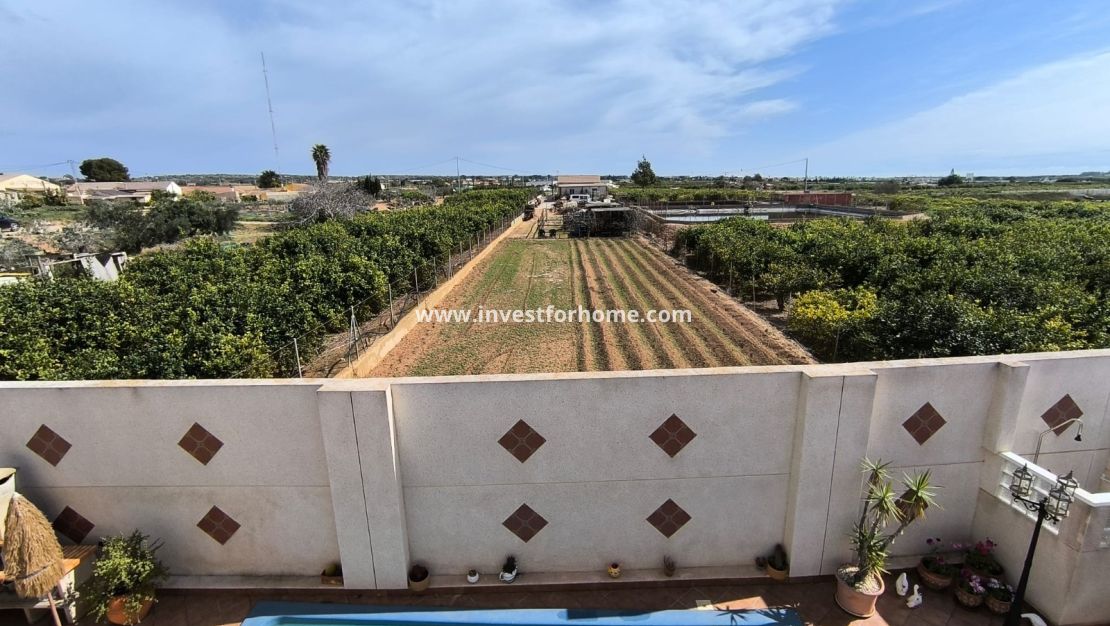 Sale - Villa - Guardamar del Segura - Costa Blanca