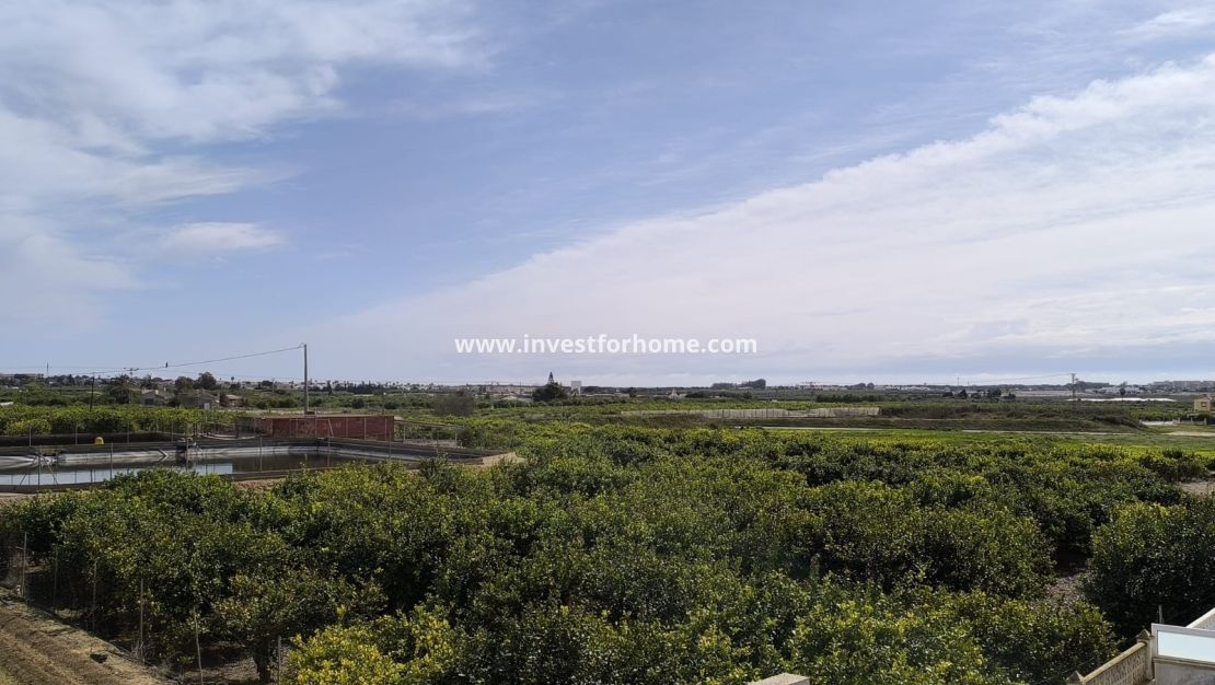 Sale - Villa - Guardamar del Segura - Costa Blanca