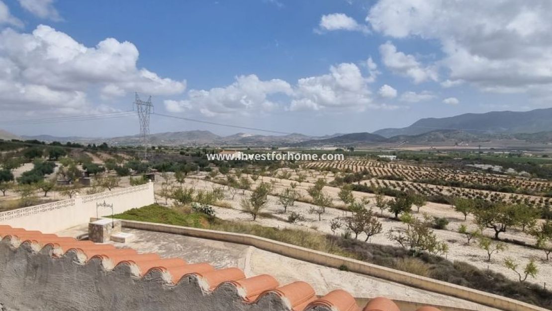 Sale - Villa - Hondón de las Nieves - Inland
