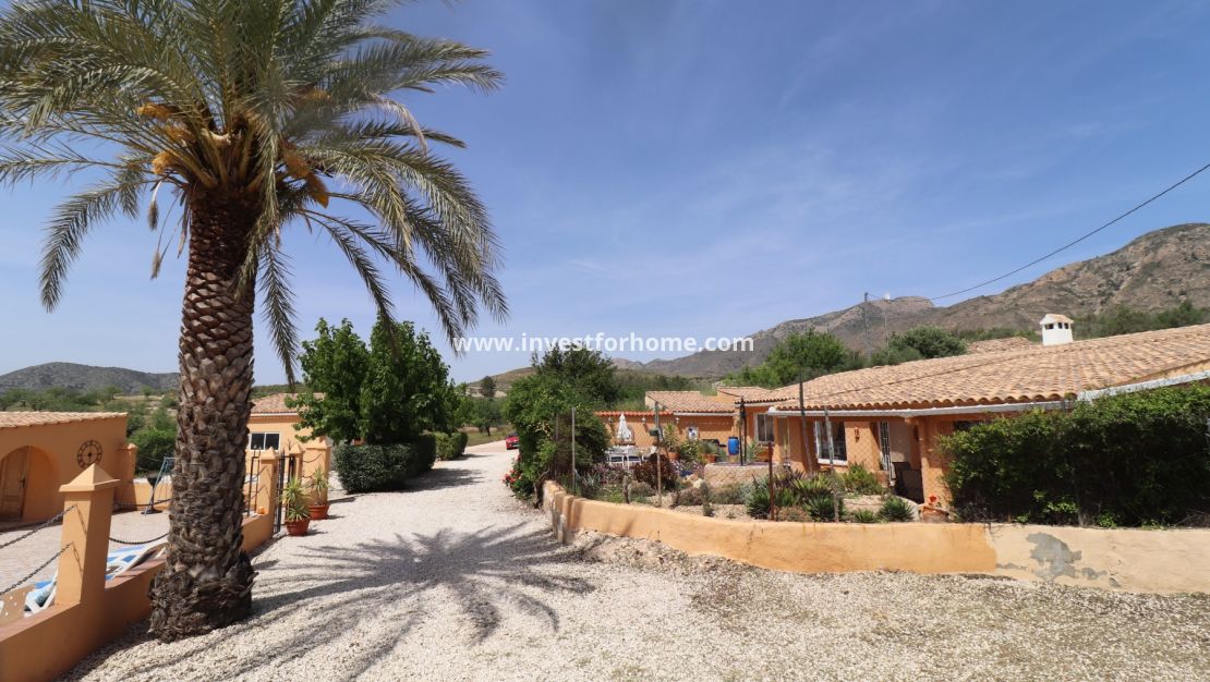 Sale - Villa - Hondón de las Nieves - Inland