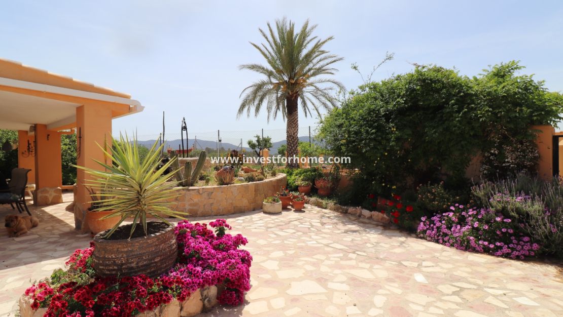 Sale - Villa - Hondón de las Nieves - Inland