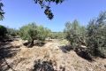 Sale - Villa - La Marina - Costa Blanca