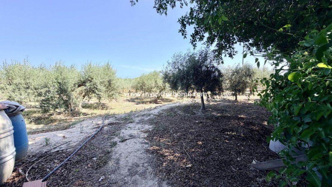 Sale - Villa - La Marina - Costa Blanca