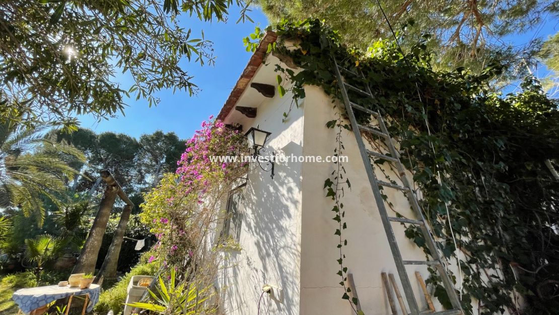 Sale - Villa - Orihuela Costa - Costa Blanca