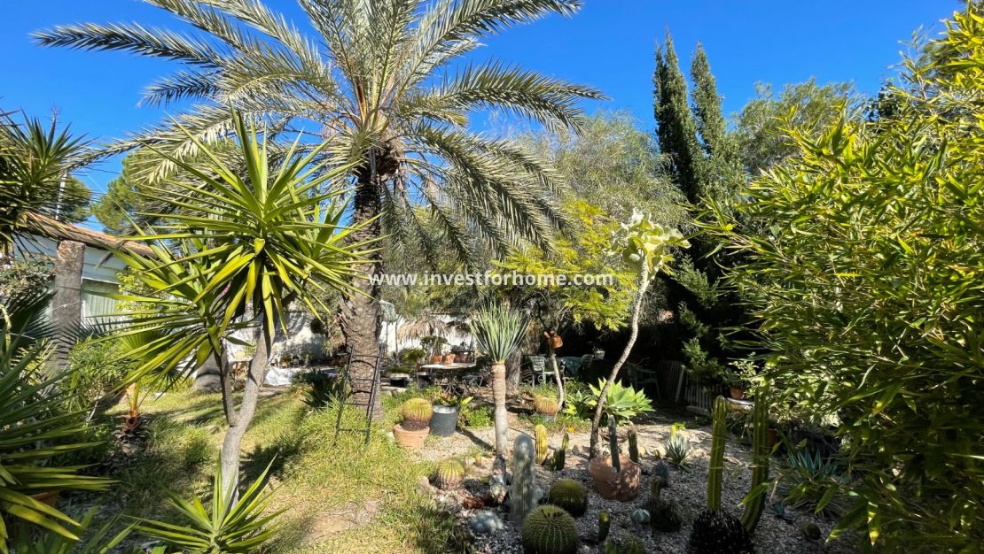 Sale - Villa - Orihuela Costa - Costa Blanca