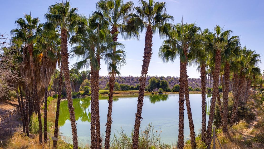 Sale - Villa - Orihuela Costa - Costa Blanca