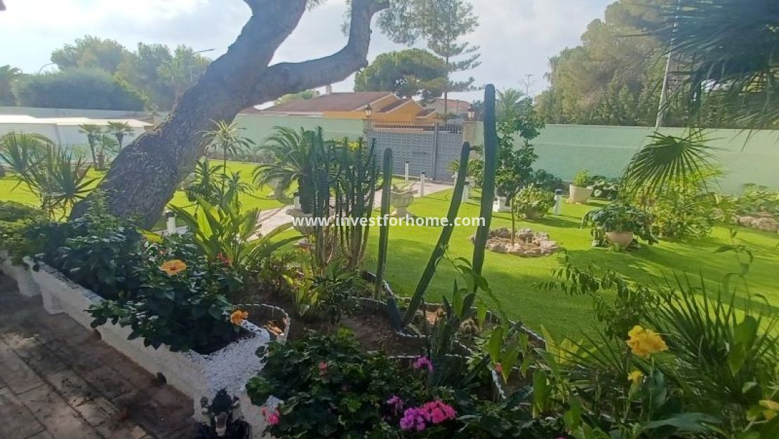 Sale - Villa - Orihuela Costa - Costa Blanca