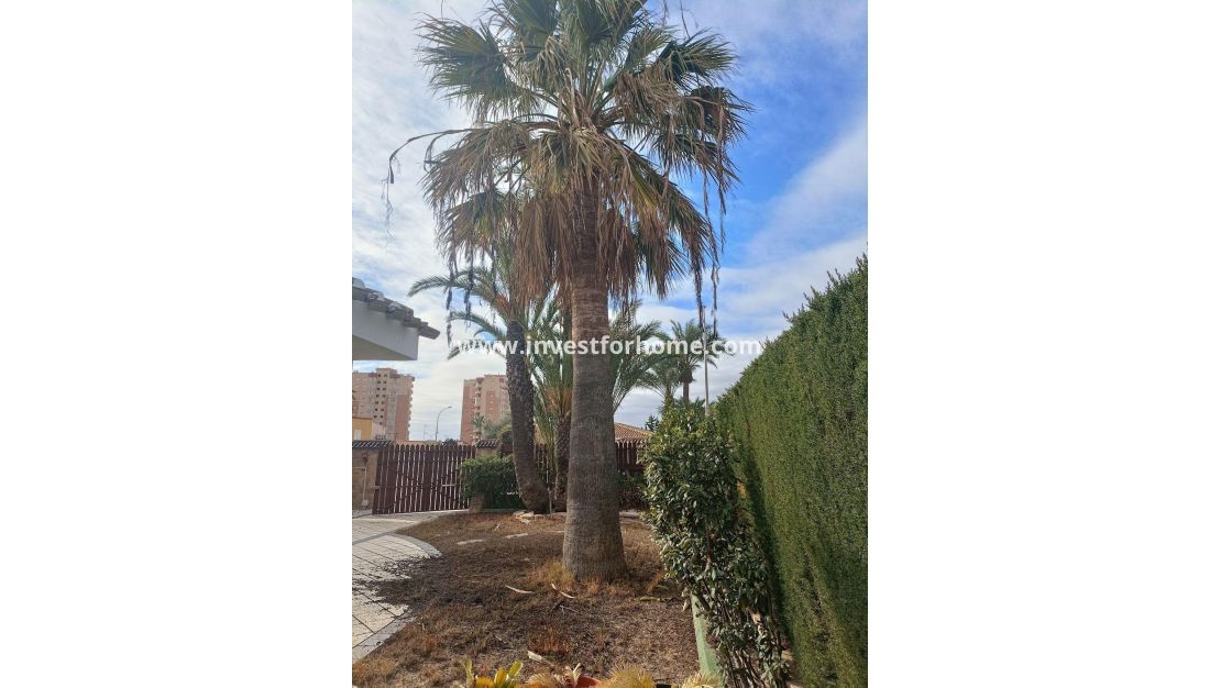 Sale - Villa - Orihuela Costa - Dehesa De Campoamor