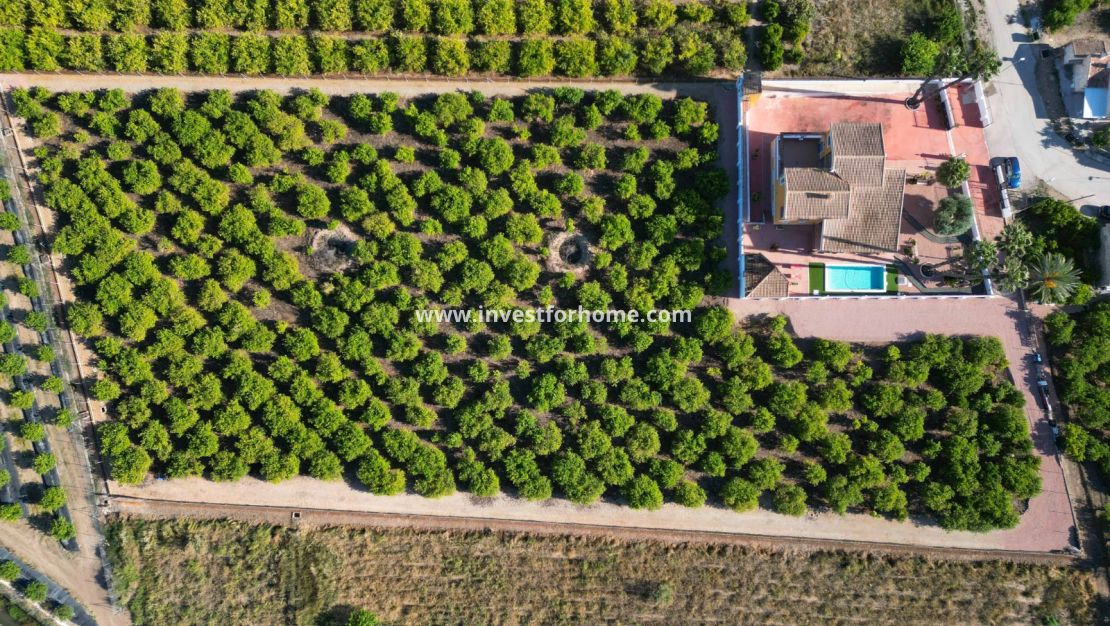 Sale - Villa - Orihuela Costa - Inland