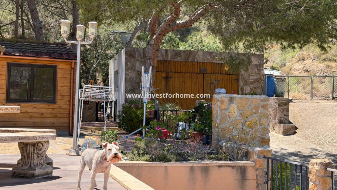 Sale - Villa - Orihuela Costa - Inland