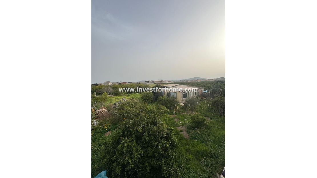 Sale - Villa - Orihuela Costa - La Campaneta