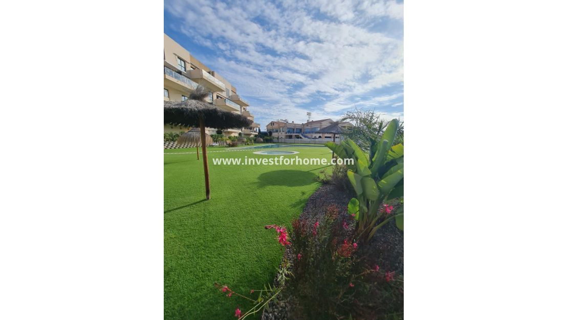 Sale - Villa - Orihuela Costa - La Regia