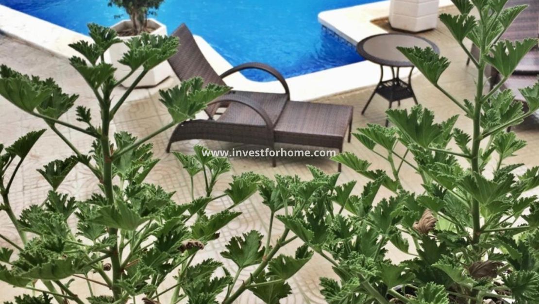 Sale - Villa - Rojales - Ciudad Quesada - Doña Pepa