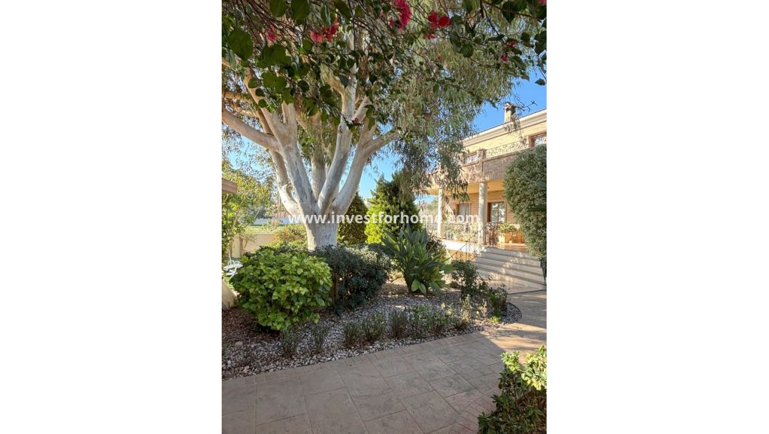 Sale - Villa - Rojales - Costa Blanca