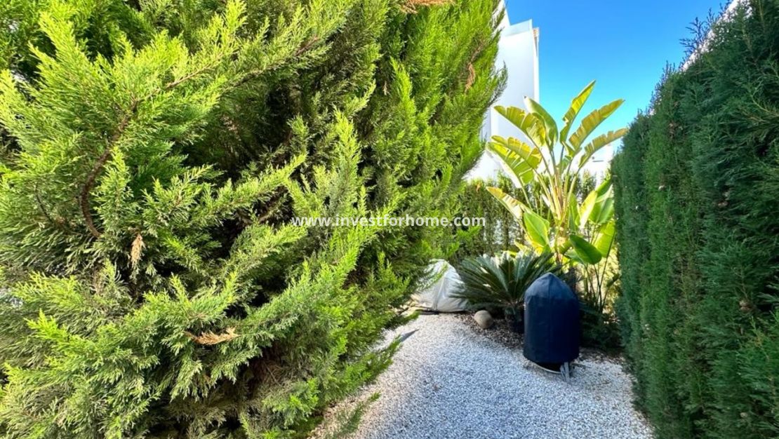 Sale - Villa - Rojales - Costa Blanca