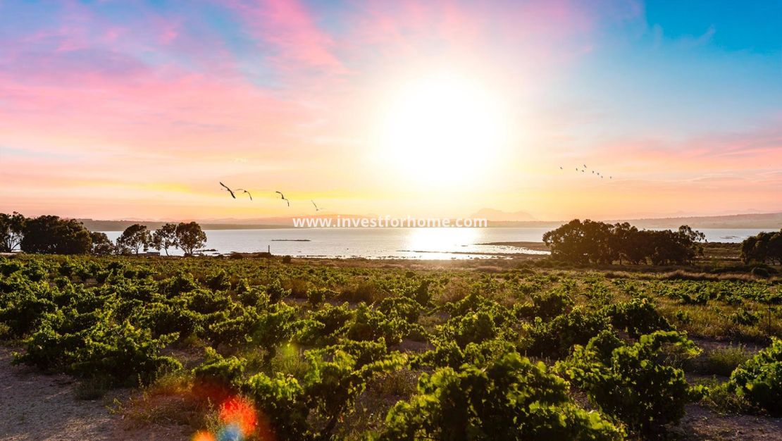 Sale - Villa - Rojales - Pueblo Bravo