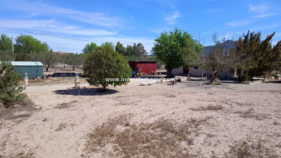 Sale - Villa - Salinas - Inland