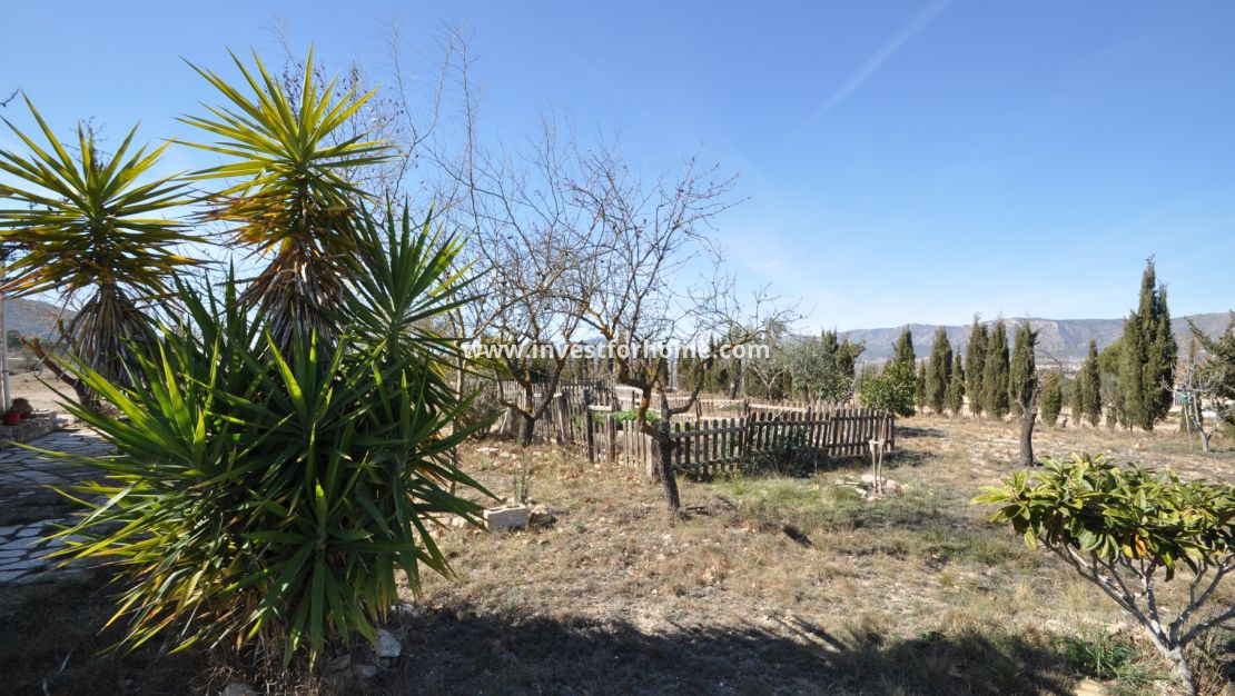 Sale - Villa - Salinas - Inland
