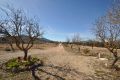 Sale - Villa - Salinas - Inland