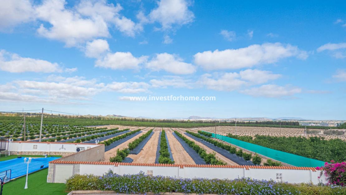 Sale - Villa - San Miguel de Salinas - Inland