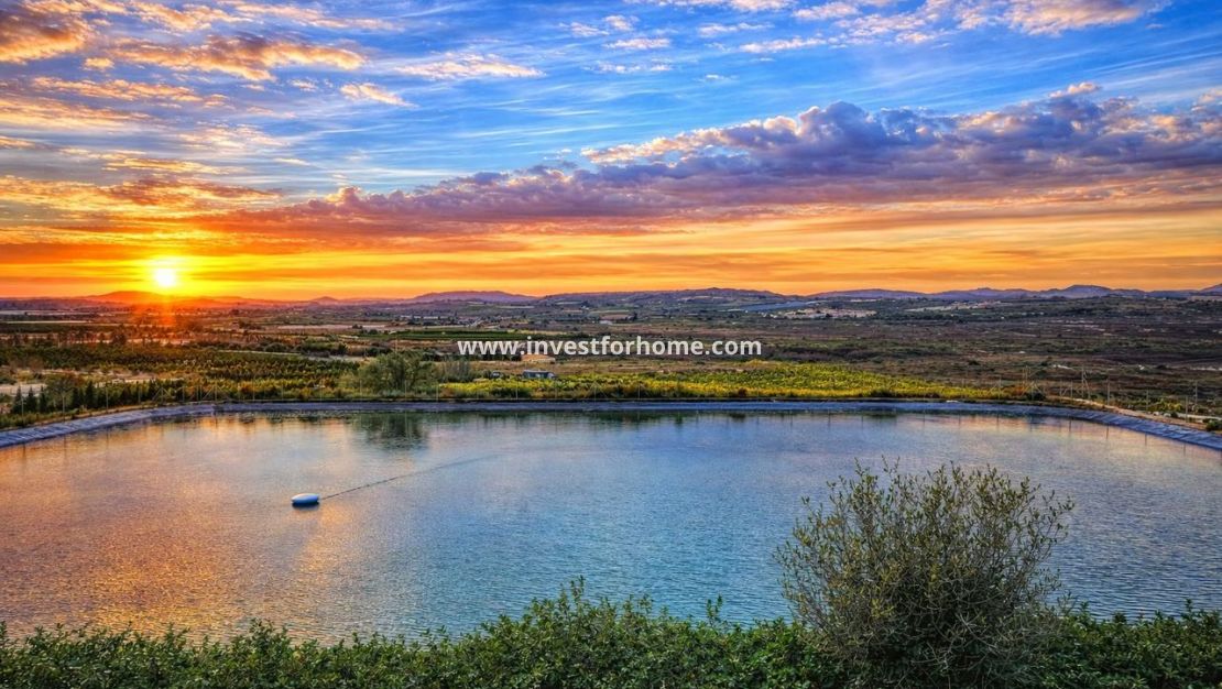 Sale - Villa - Torremendo - Costa Blanca