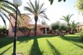 Sale - Villa - Torrevieja - Costa Blanca