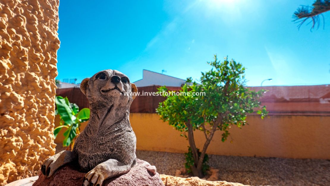 Sale - Villa - Torrevieja - Costa Blanca