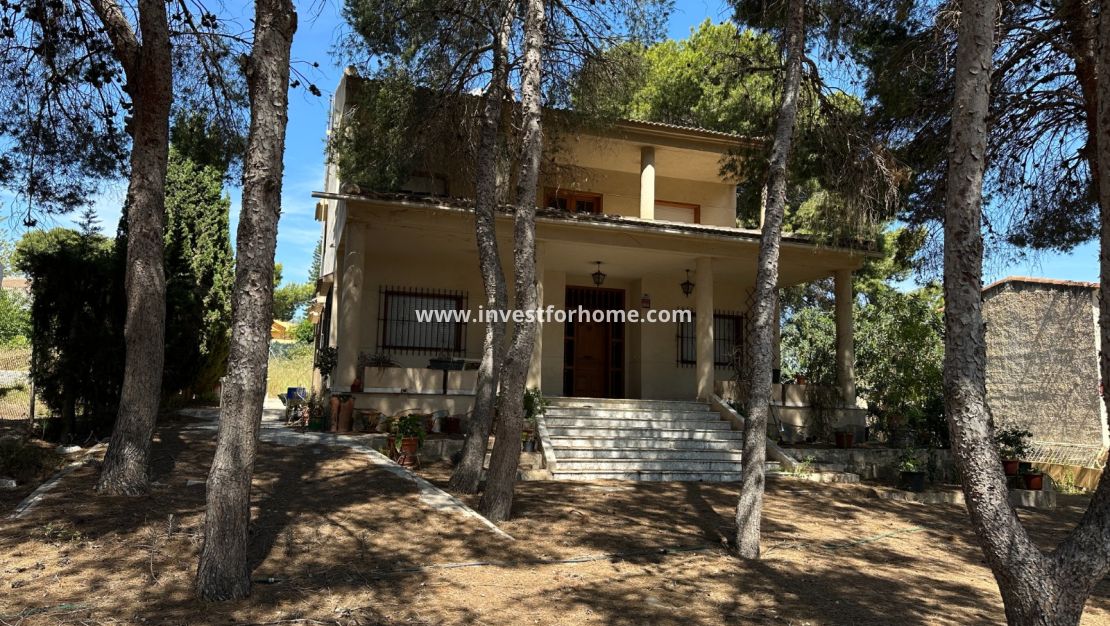 Sale - Villa - Torrevieja - Costa Blanca