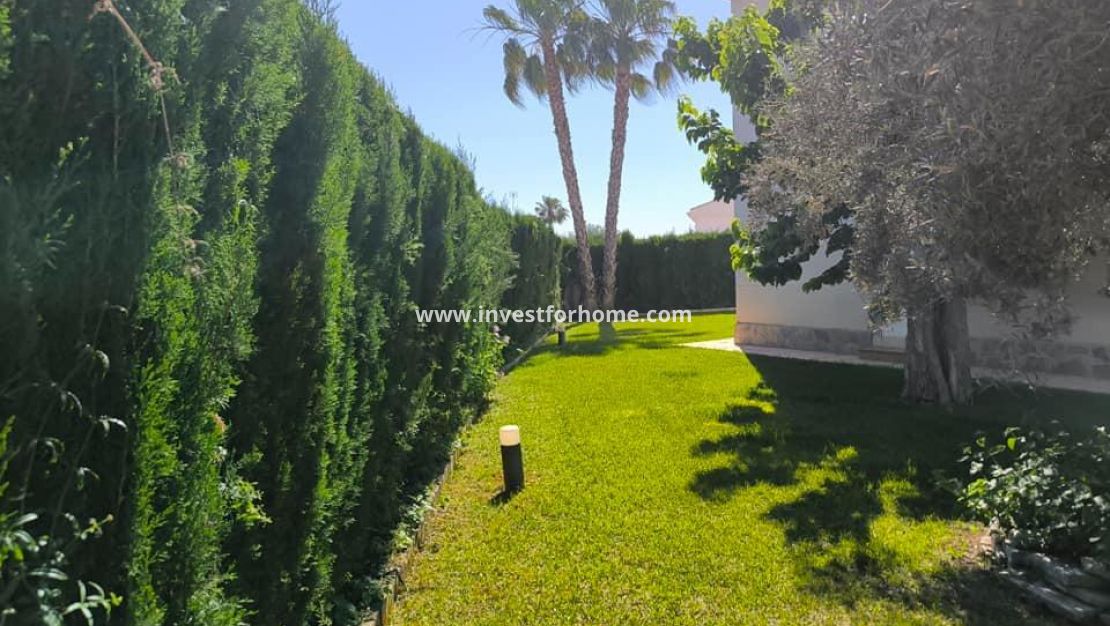 Sale - Villa - Torrevieja - La Siesta-El Chaparral