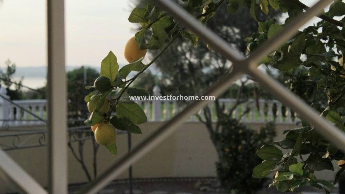 Sale - Villa - Torrevieja - La Siesta - El Salado - Torreta