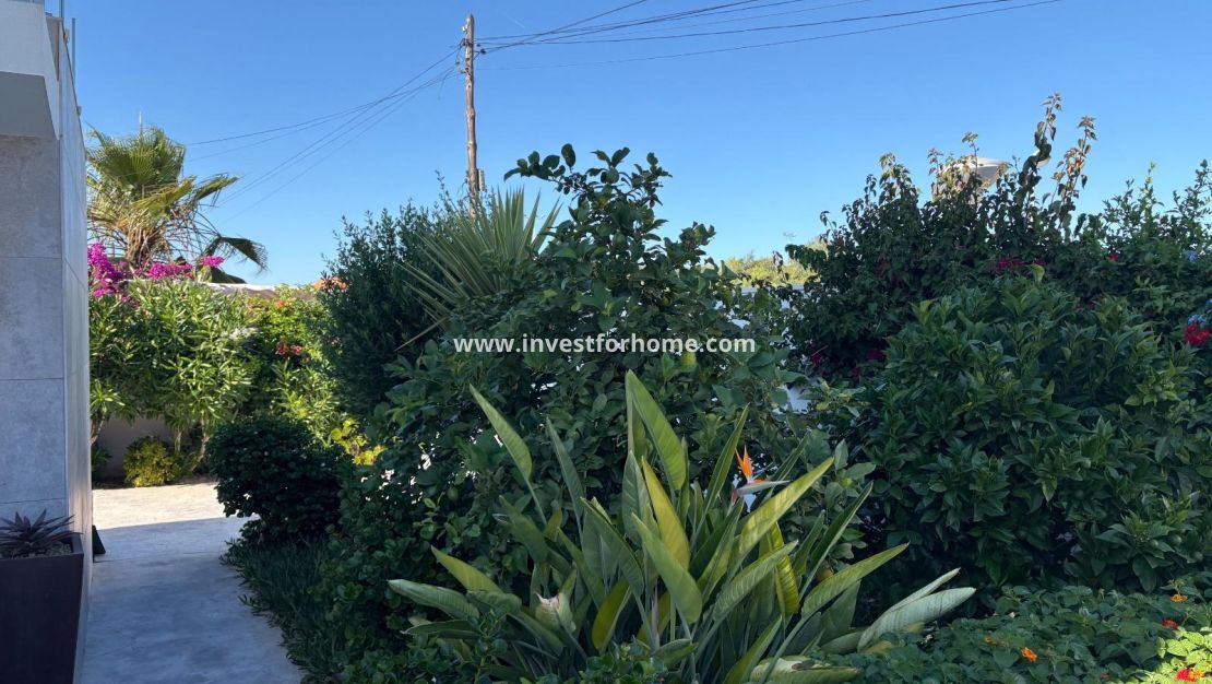 Sale - Villa - Torrevieja - La Siesta - El Salado - Torreta
