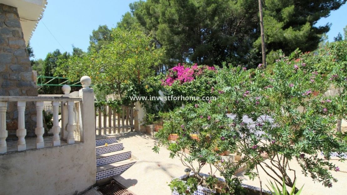 Sale - Villa - Torrevieja - Los Balcones