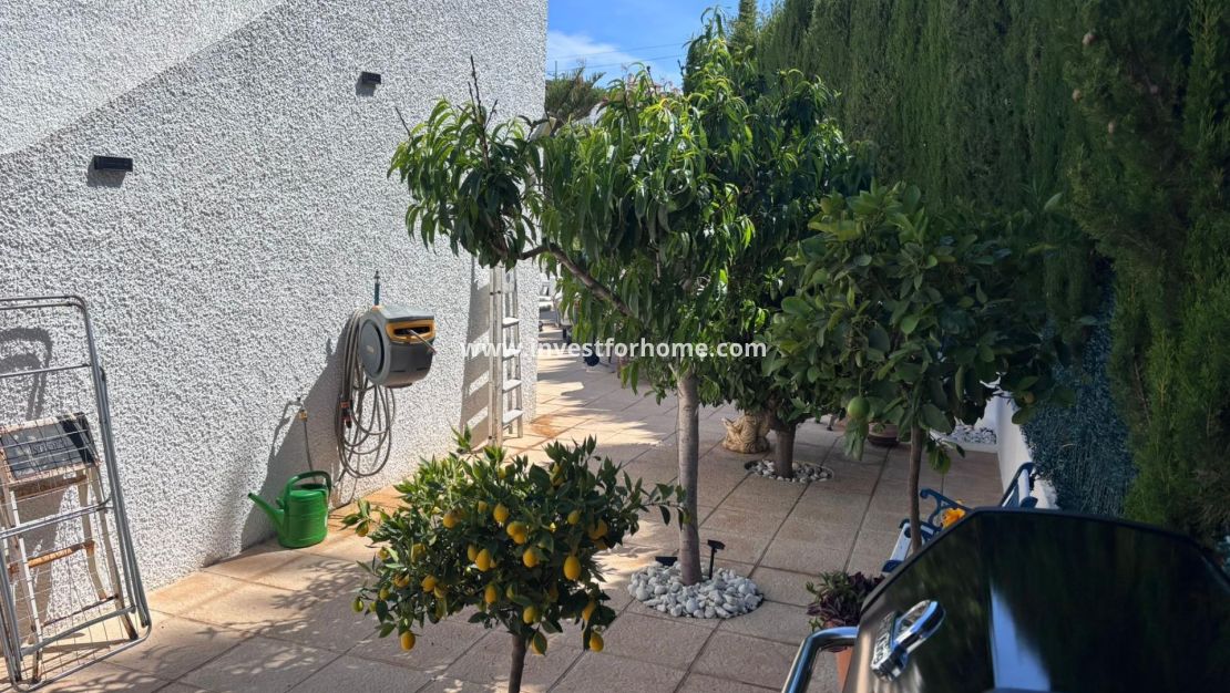 Sale - Villa - Torrevieja - Los Balcones