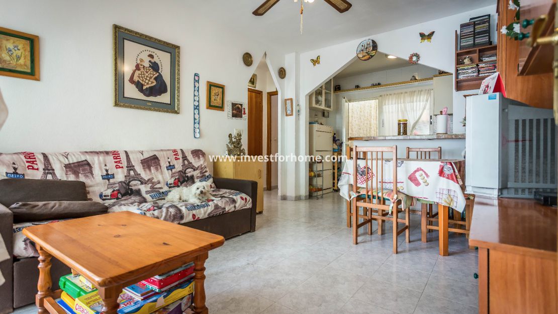 Torretas Torrevieja Costablanca Salinas Alicante