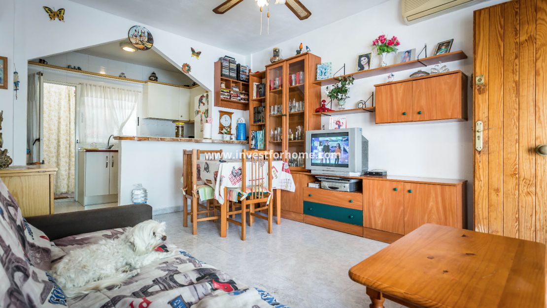 Torretas Torrevieja Costablanca Salinas Alicante