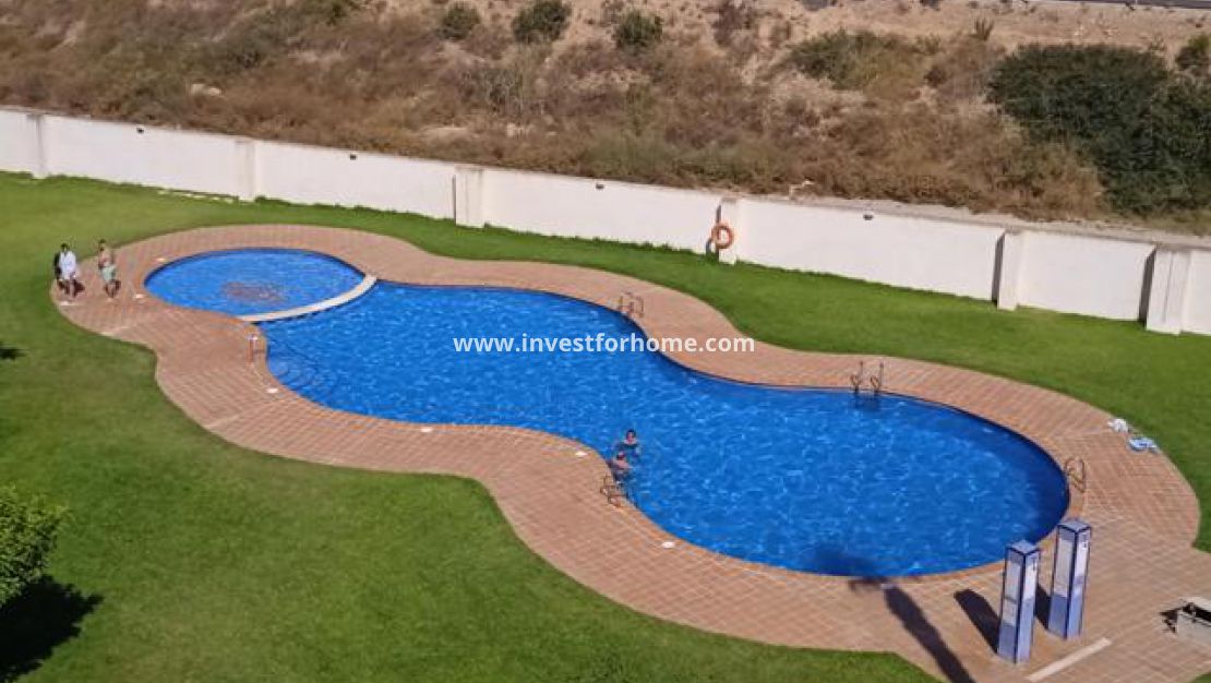 Torrevieja, el acequion, Naufragos, Parque de las Naciones, Playa del Acequion, Doña Sinforosa, Investforhome