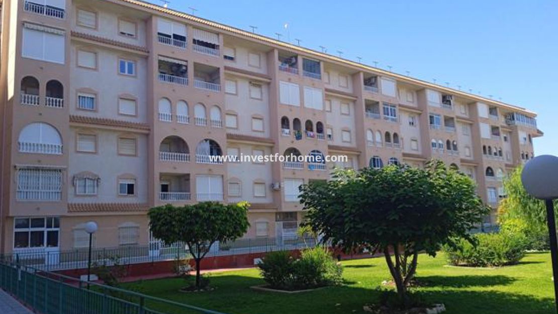 Torrevieja, el acequion, Naufragos, Parque de las Naciones, Playa del Acequion, Doña Sinforosa, Investforhome