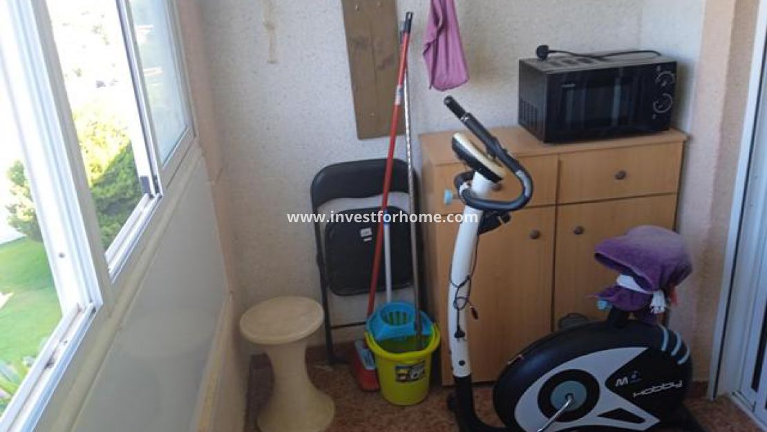 Torrevieja, el acequion, Naufragos, Parque de las Naciones, Playa del Acequion, Doña Sinforosa, Investforhome