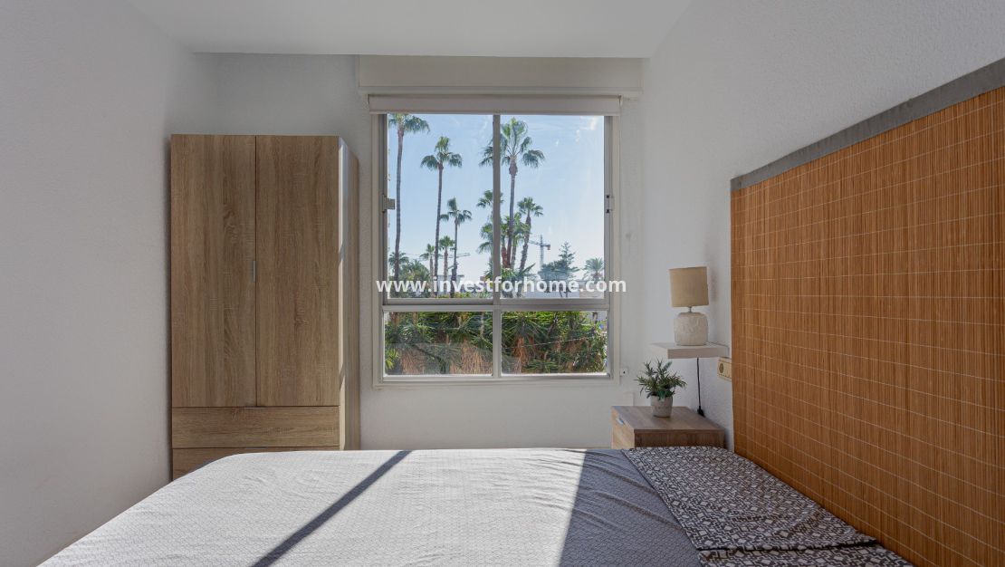 Torrevieja, La Loma, Playa de Los Locos, Playa del Cura, Habaneras, La Mata