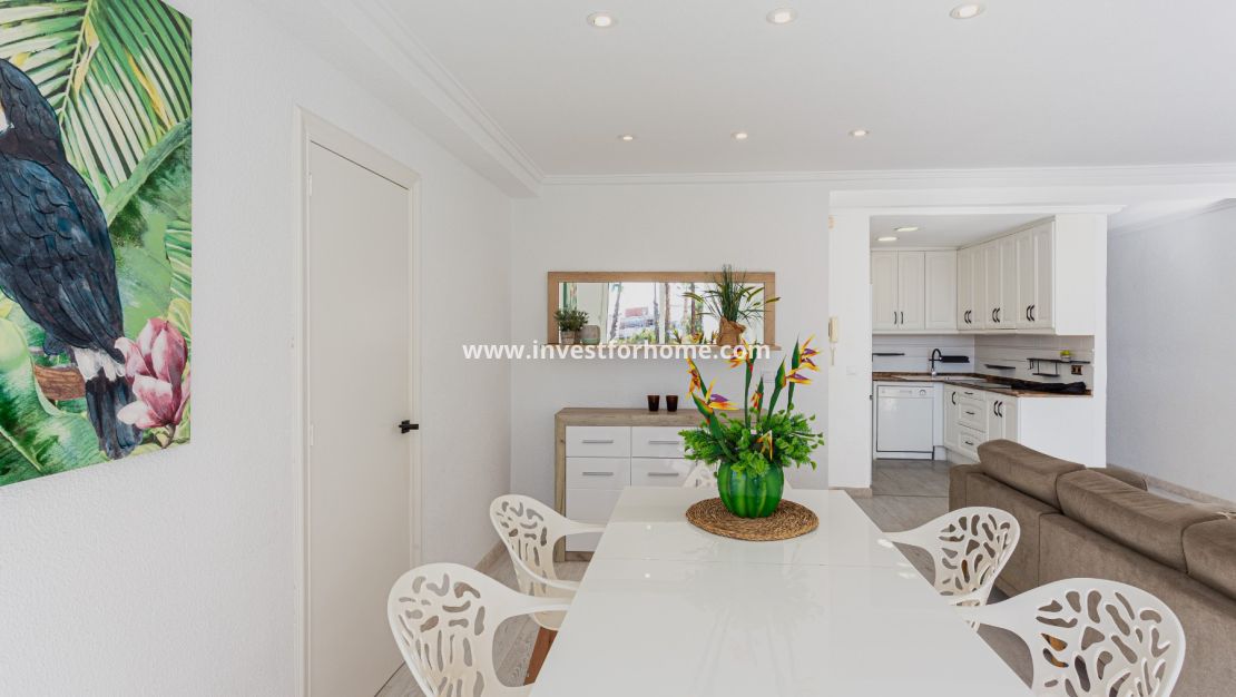 Torrevieja, La Loma, Playa de Los Locos, Playa del Cura, Habaneras, La Mata