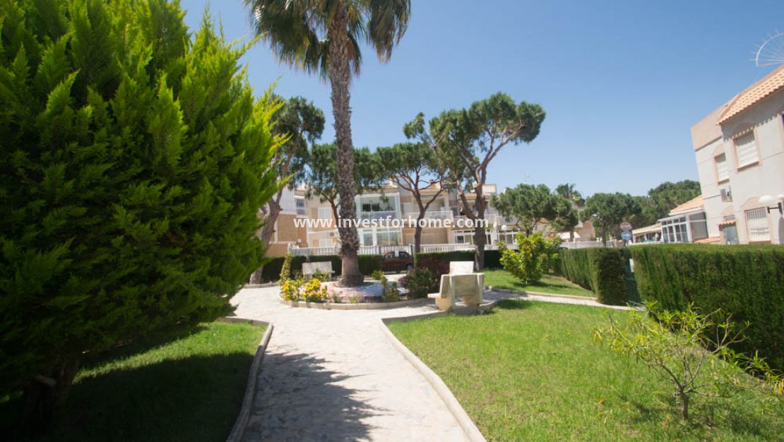 Torrevieja Los Balcones Costa Blanca Alicante