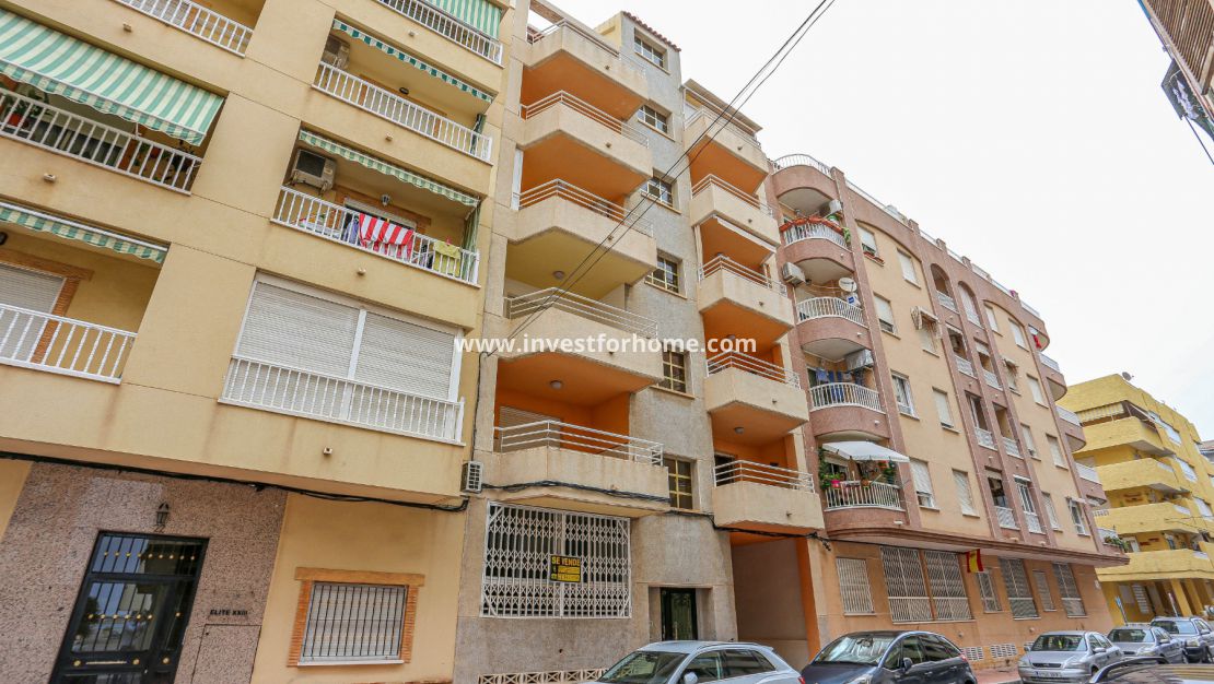 Torrevieja, Orihuela costa, Acequion, Puerto deportivo de Torrevieja