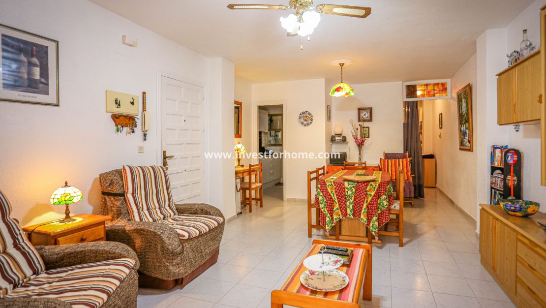 Torrevieja, Orihuela costa, Acequion, Puerto deportivo de Torrevieja