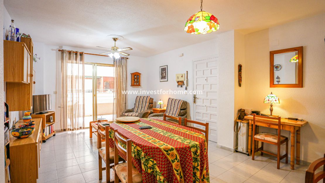 Torrevieja, Orihuela costa, Acequion, Puerto deportivo de Torrevieja