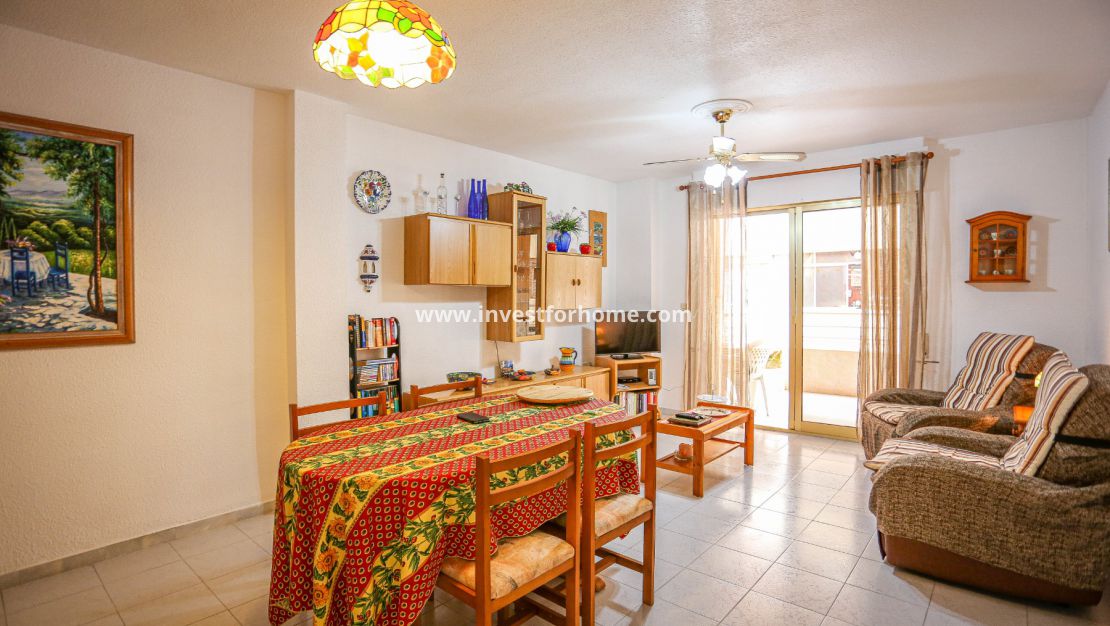 Torrevieja, Orihuela costa, Acequion, Puerto deportivo de Torrevieja