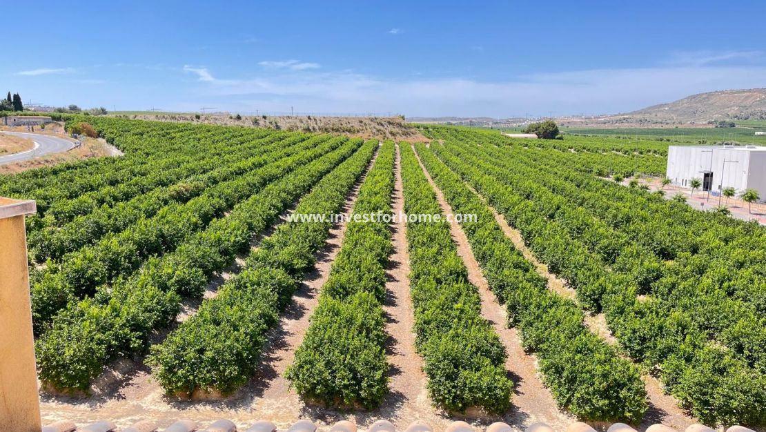 Vente - Appartement - Algorfa - Inland